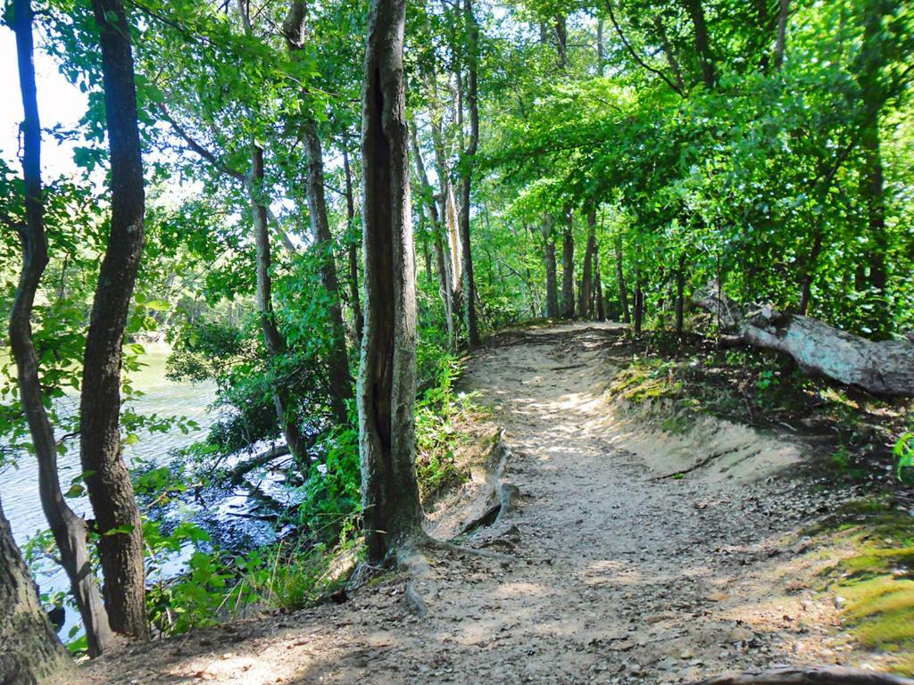 Private Boho Bungalow 10 Minutes To Downtown Rva! Richmond Exteriér fotografie